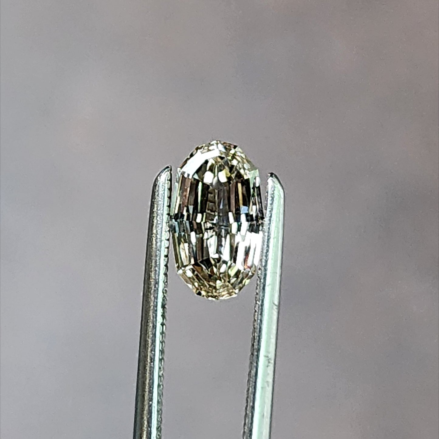 .70ct Natural Diamond Oval Geo Step Cut