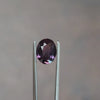 natural purple red oval sapphire from Sri Lanka