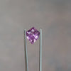  natural pink shield sapphire from Sri Lanka