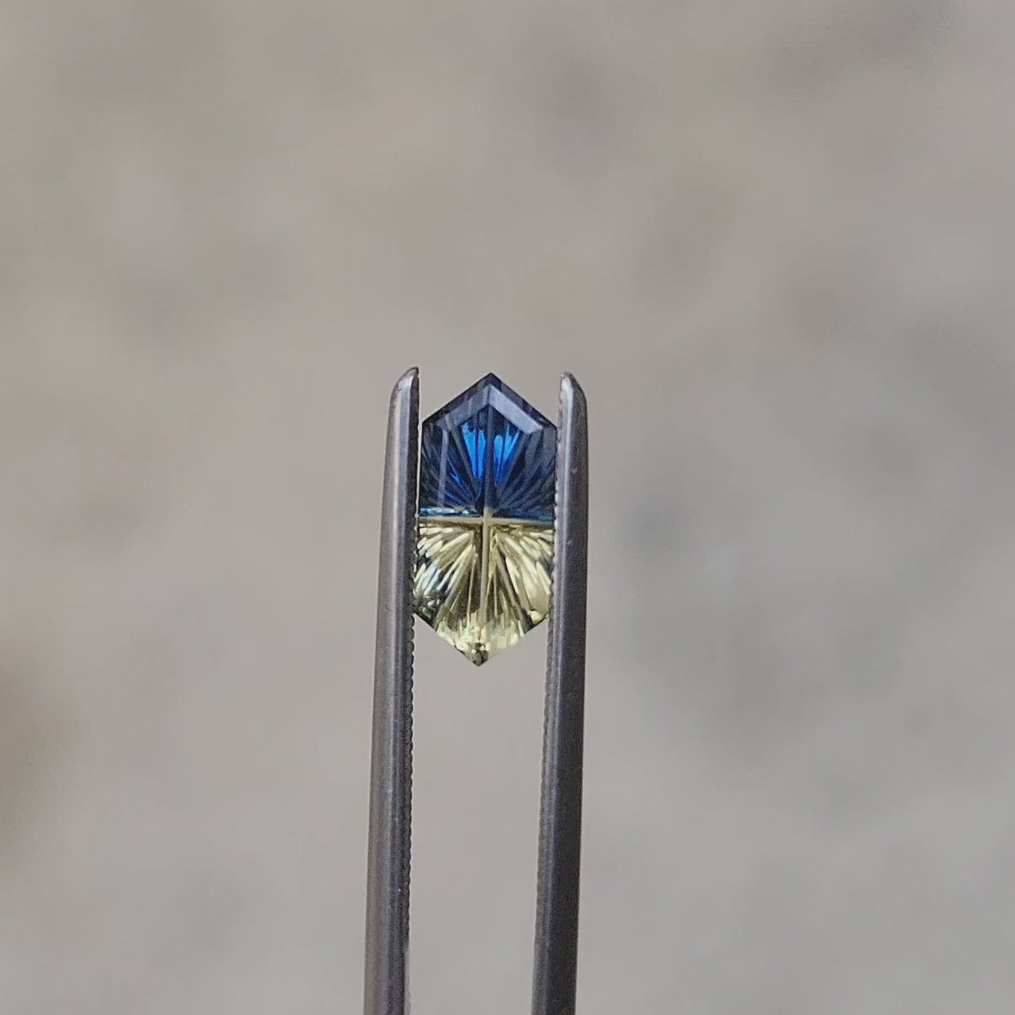 .97ct Natural Fantasy Parti Australian Sapphire Elongated Hexagon Duchess