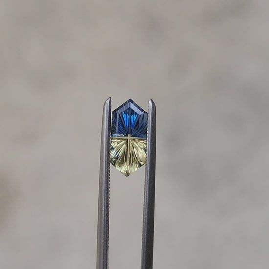 .97ct Natural Fantasy Parti Australian Sapphire Elongated Hexagon Duchess