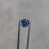 Natural Blue Sapphire Unheated from Montana