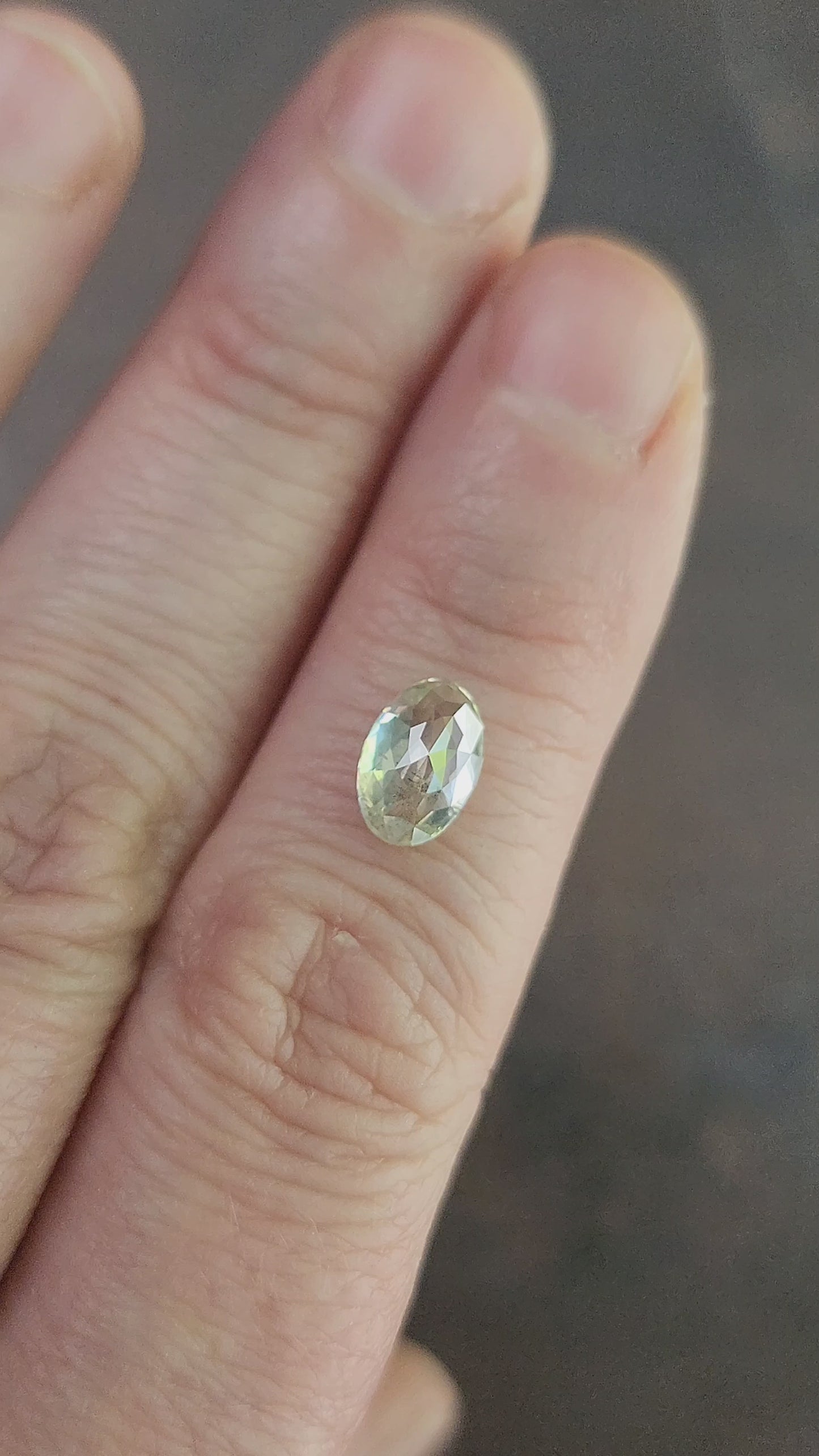 Load and play video in Gallery viewer, 1.45ct Natural Diamond Rose Cut Oval Salt and Pepper
