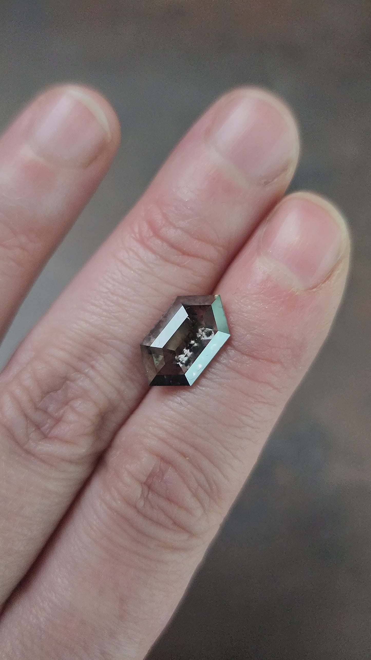 Load and play video in Gallery viewer, 3.88ct Salt and Pepper Lab Diamond Rose Cut Elongated Hexagon or Duchess Cut
